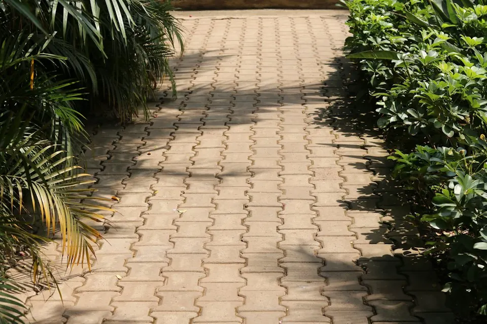 Gepflasterter Gartenweg zwischen Pflanzen im Sonnenlicht